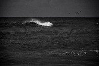 The Salt & The Sea - Fire Island, NY