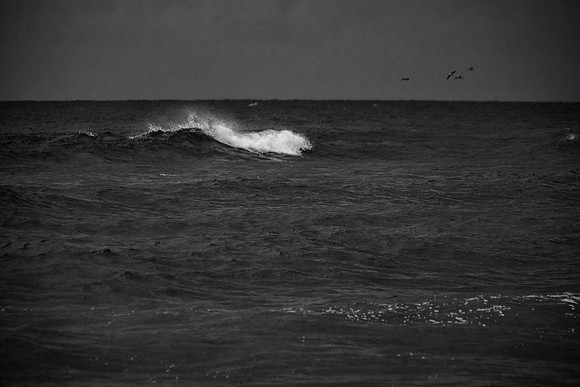The Salt & The Sea - Fire Island, NY