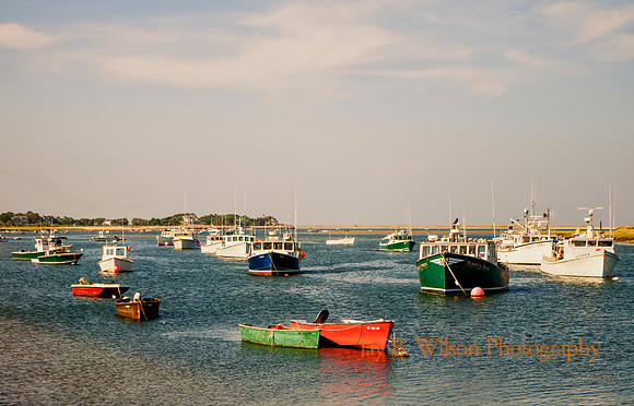 Chatham Harbor, Cape Cod