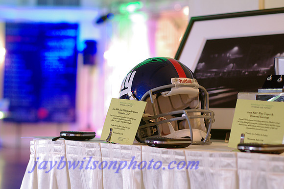 Auction Items