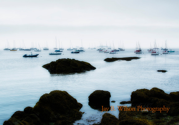 Indian Harbor - Morning