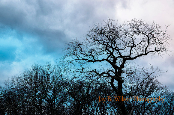 Before the Storm