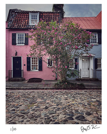 Charleston Pink