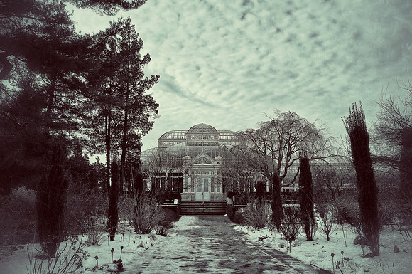 nybg, new york botanical garden, bronx, ny, nyc, new york city, haupt