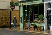 Kensington Flowers