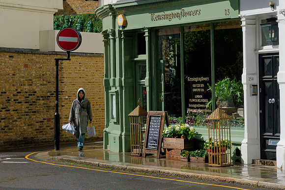 Kensington Flowers