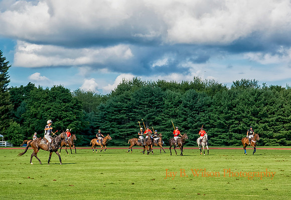 Greenwich Polo