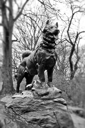 Balto