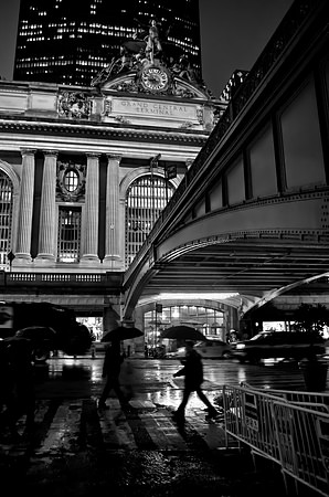 Terminal Rain