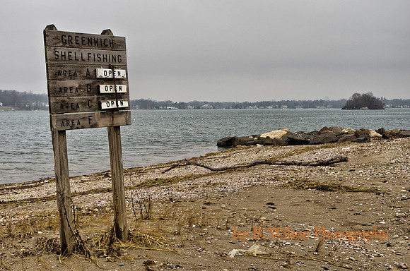 Greenwich Shellfishing
