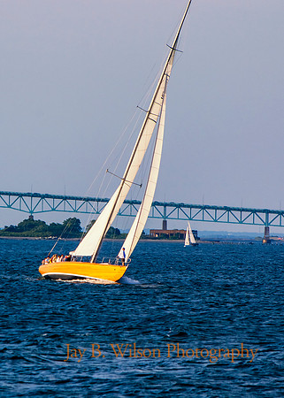 Blue and Gold