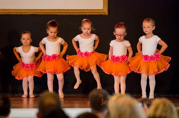 Show 1 - Following Fairies