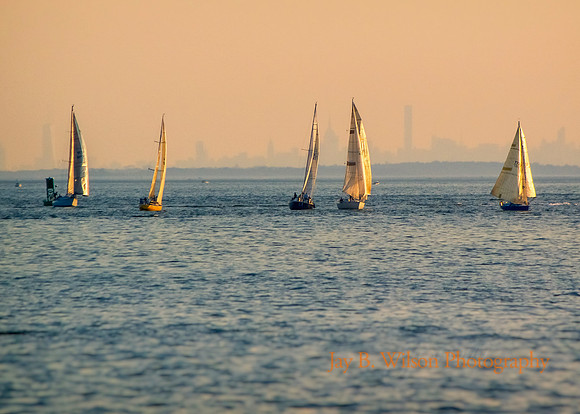 Regatta