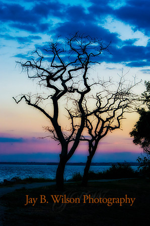 Purple Sunset - Tod's Point