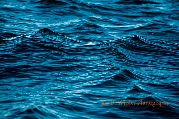 Echo Blue