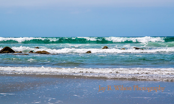 Coronado Surf