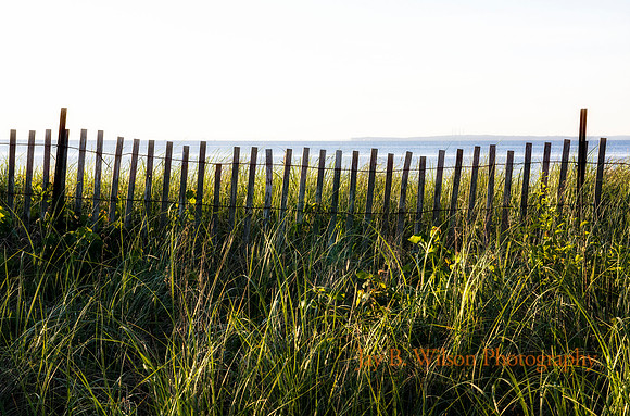 Summer's Out of Reach