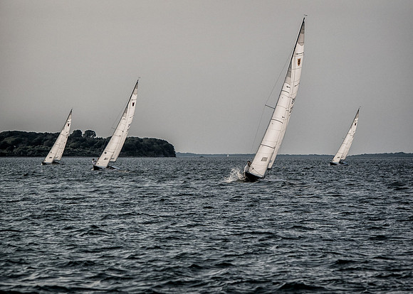 The Race