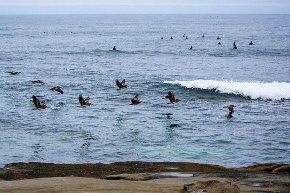 Windansea Beach, La Jolla