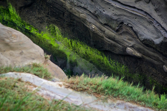 Windansea Beach, La Jolla