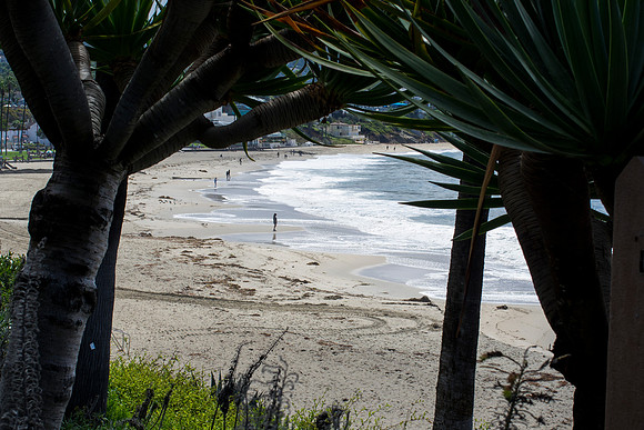 Bella Looking Out to Sea, Laguna Beach