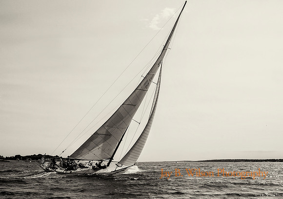 Newport Classic