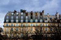 Paris Greys