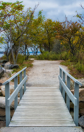 Welcome to Paradise - Tod's Point