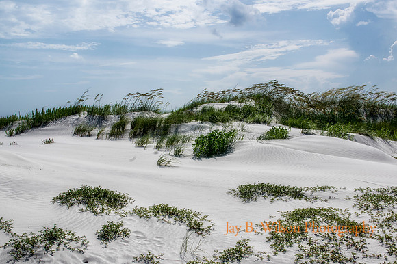 Windswept Dune