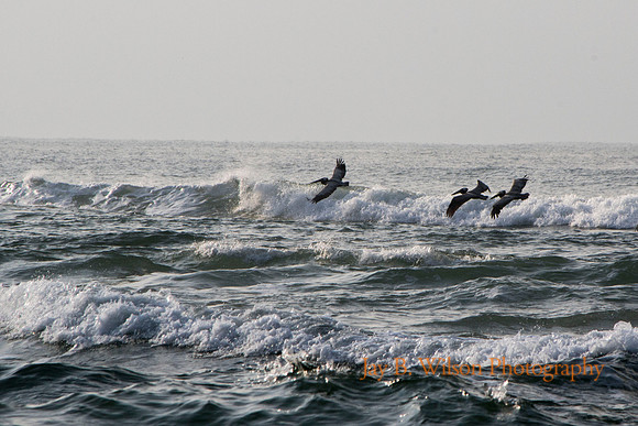 Flying Over Water