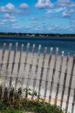 The Heart has its Beaches