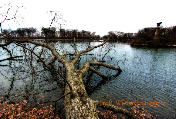 Eagle Pond, Tod's Point