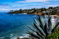 Laguna Beach