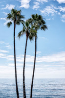Laguna Beach