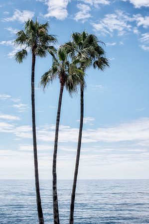 Laguna Beach