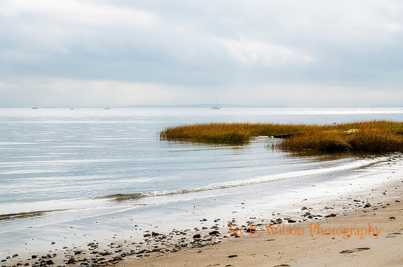 Morning Walk - Tod's Point