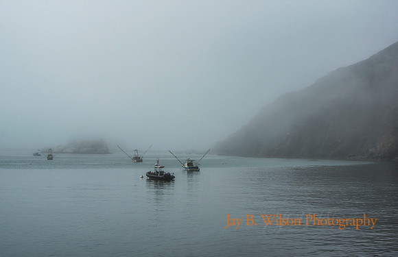 Port Luis Fog