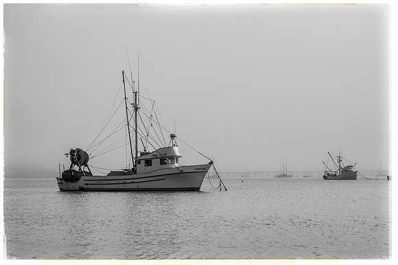 Morning, Port Luis