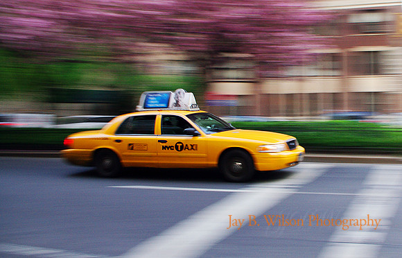 Park Avenue Spring