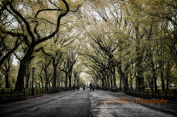 Fairytale of New York