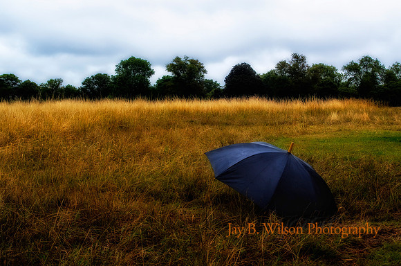 Umbrella - Hyde Park