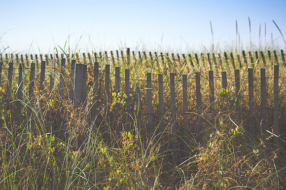 Summer Haze - Fire Island, NY