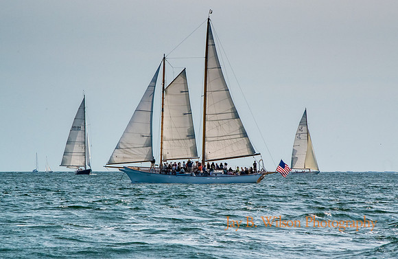 Cruising Newport