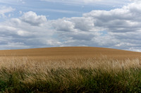 Near Bath