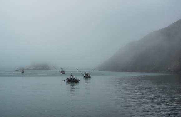 Port Luis Fog