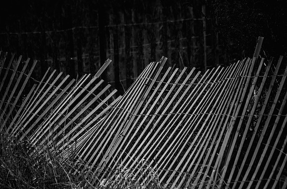 Dune Fence, Tod's Point