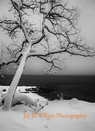 tod's point, old greenwich, ct in winter