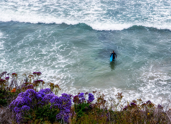 Surfer Girl