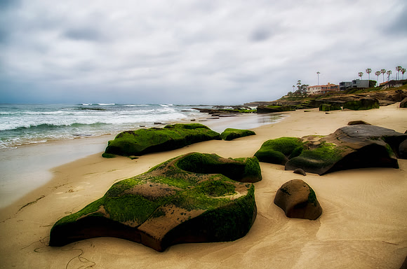 Windansea
