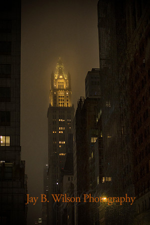 Woolworth Winter
